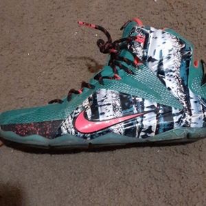Size 11 lebron sneakers